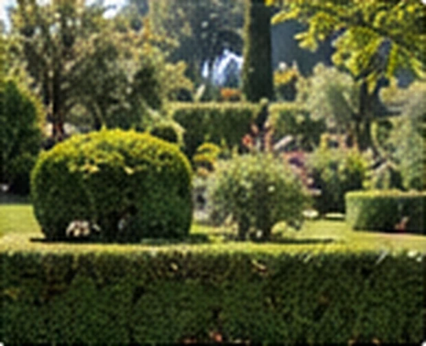 Giardino con arbusti e aiuole curate, immagine illustrativa